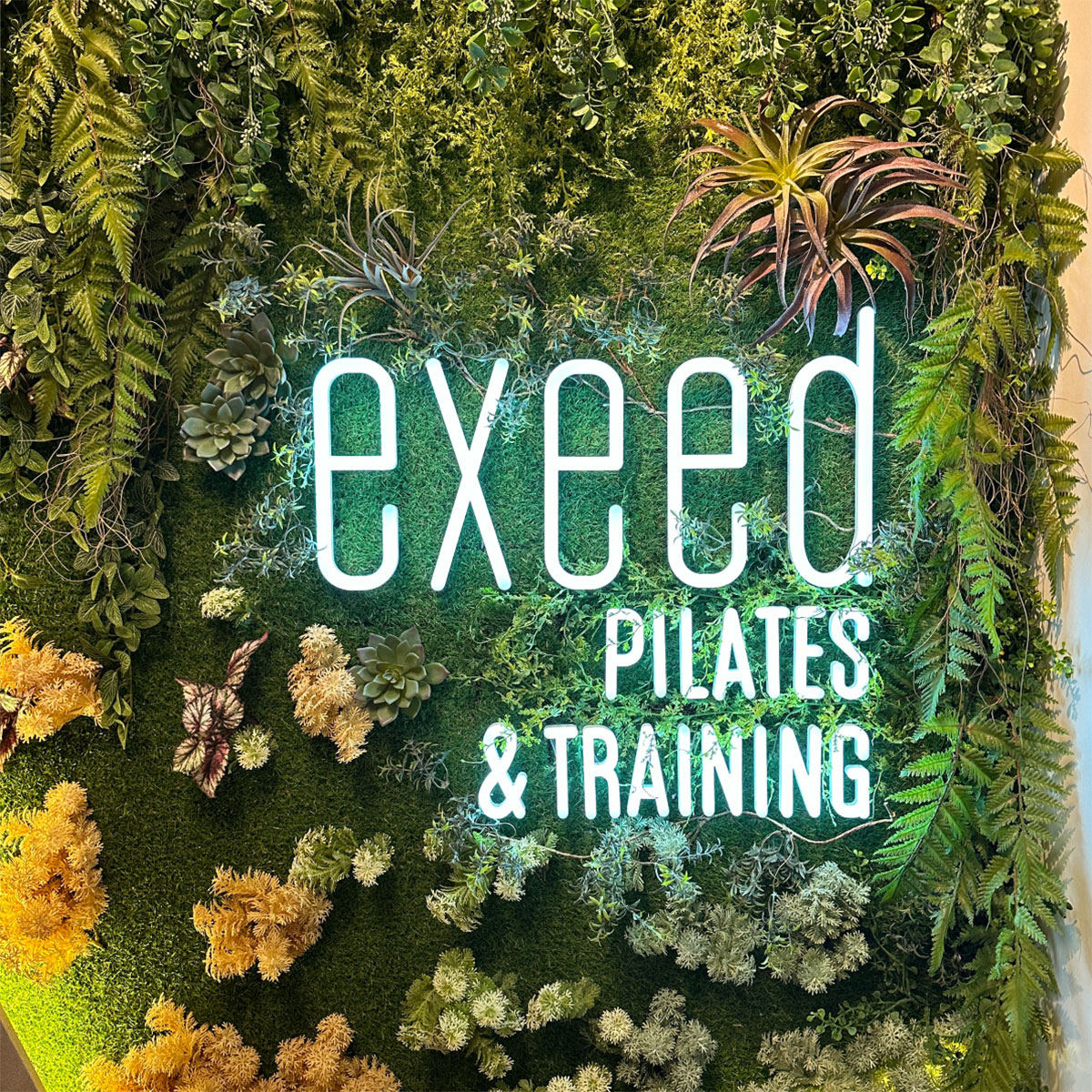 ジムリノベーション06